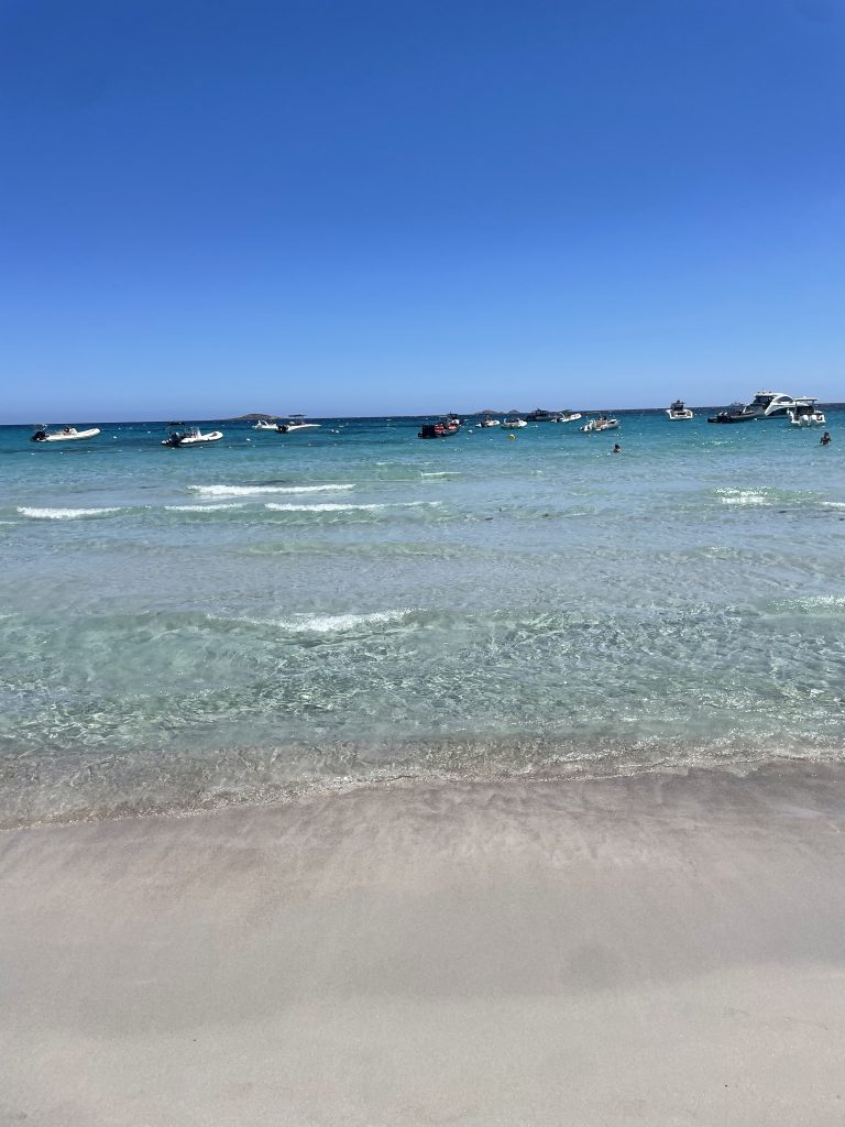 Mallorca Rundflüge im Juni ab Frankfurt für nur 139€⚽️